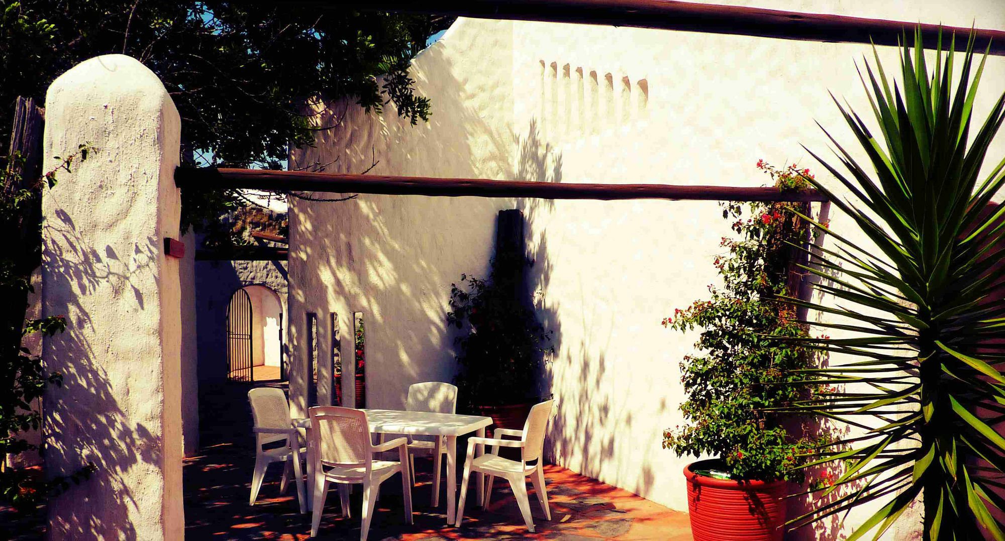 By Bush Telegraph Lodge Johannesburg Exterior photo